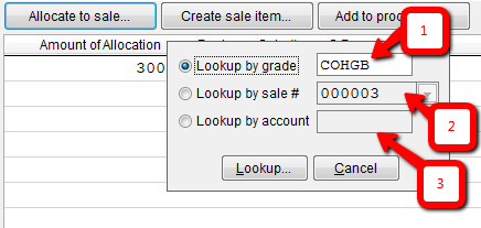 Select the sale item for the allocation.